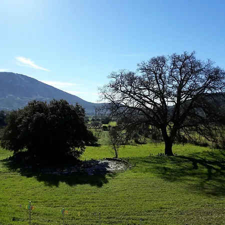 Mesoloras Valley View Feriehus Valsamata